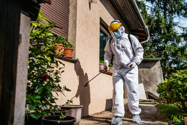 Professional Pest Control in Gray, LA