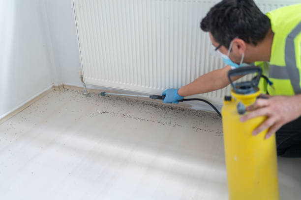 Best Pest Prevention Services  in Gray, LA